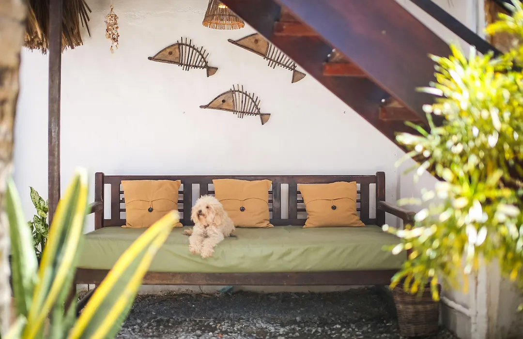 Mandala Hostel Jeri-1