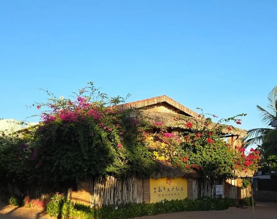 Pousada Ibiscus-1